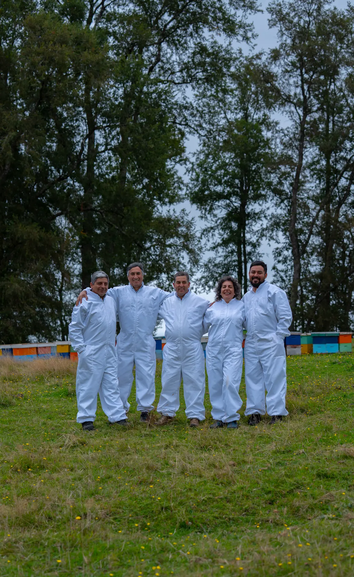 Socios cooperativa